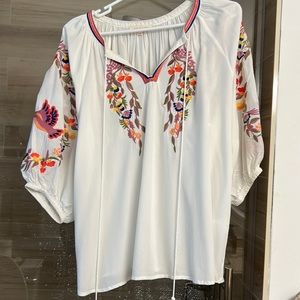 Solitaire size large embroidered blouse